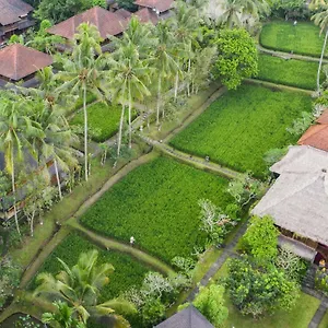 4* Resort Ananda