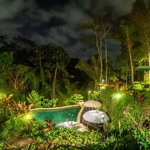 The Jungle Ubud
